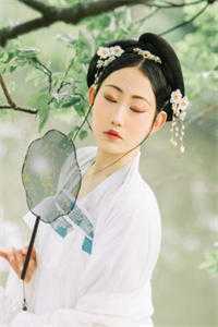 布衣官场