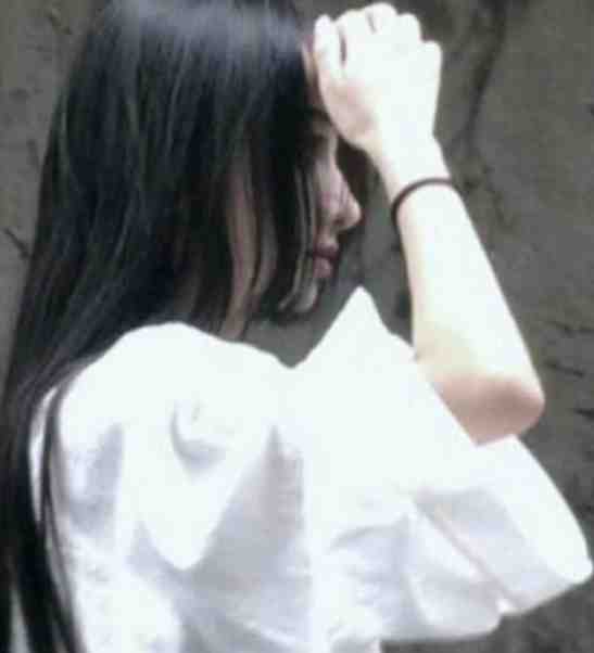 今天少夫人和离了吗？