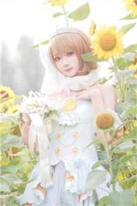 玉芙蓉