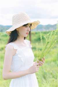 极品皇太子，我一人征服满朝文武