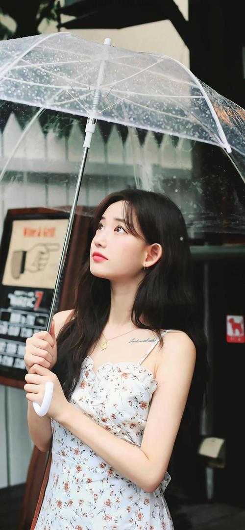 顾乔念宫弈免费阅读