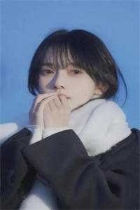 我的检察长