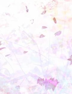 魏叔玉崔神基热门小说