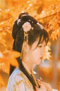 天黑请换人查案小说