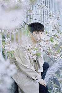 虞瑾夏宁柯远虞瑾夏小说完结版
