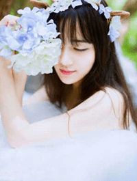 完结版小说画入美人袖