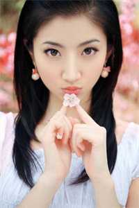 葬玉京