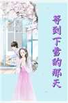六零之东北来了个大美人