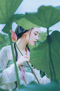 陆卫国时听雨全文阅读