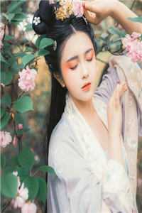 夏晚宁沈随州小说全文爆款