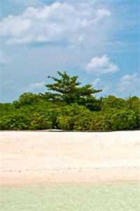 杨夏茉许存芳
