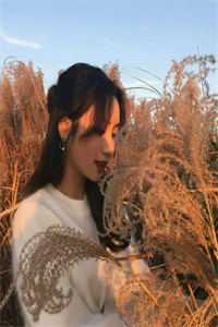 妖婿的巅峰人生