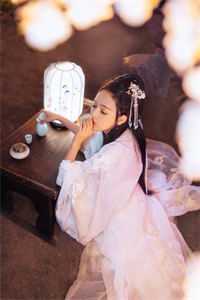 皇婿归来
