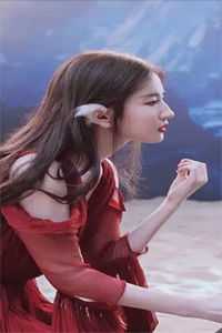 龙婿陆凡唐浣溪