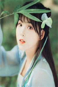 陆宸枫江槐女频
