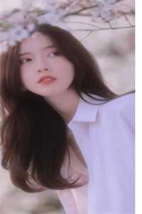 顾晚厉寒锡全文全部推荐看无弹窗阅读