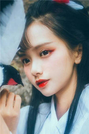 战神狂婿杨辰秦惜