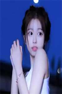 王婿叶凡