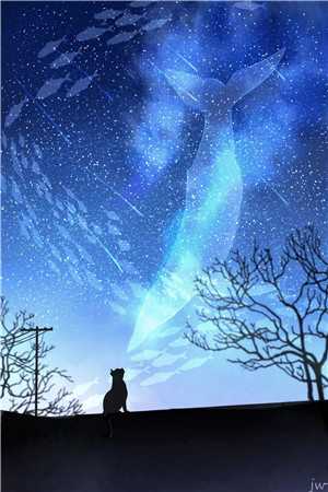 我哥用量子力学帮我追星