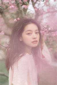 清月莫悔