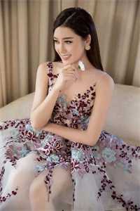 龙王婿大结局