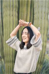 战神王婿