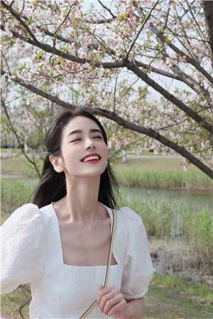 铁马冰河揽月归