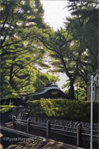 宋清妍顾言风