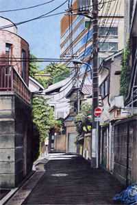 第37只猫