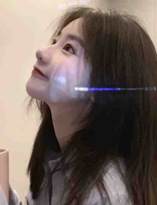 雪落尽时,再说爱你