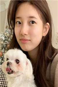 老公帮私生女夺权,我杀疯了