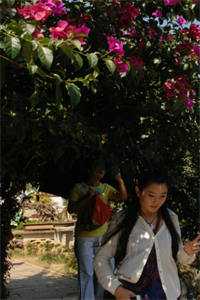 双人楼梯求生:美艳校花终成娇妻