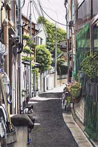 荒岛惊鸿