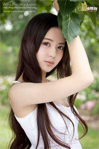 SSS级狂龙