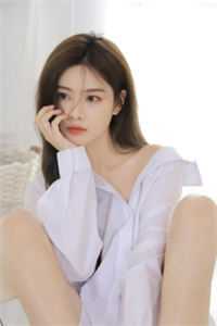 陈晚晚沈夜小说