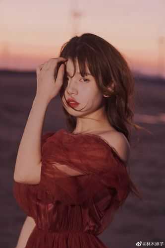 我的极品美女总裁